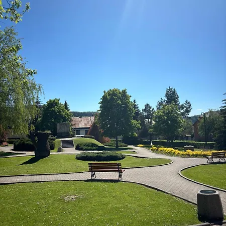 Stara Piekarnia Apartment Tylicz